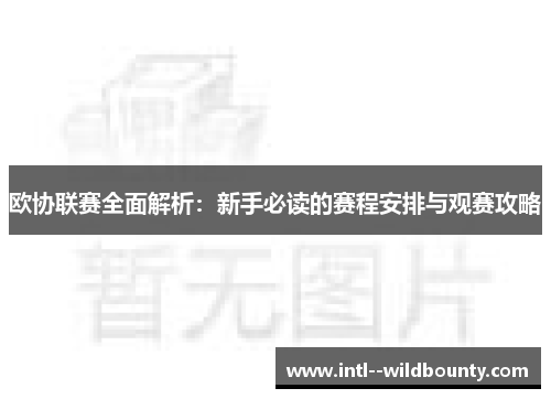 欧协联赛全面解析:新手必读的赛程安排与观赛攻略 欧协联赛全面解析:新手必读的赛程安排与观赛攻略