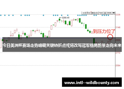 今日美洲杯赛场走势暗藏关键转折点或将改写冠军格局前景走向未来