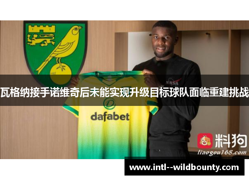 瓦格纳接手诺维奇后未能实现升级目标球队面临重建挑战