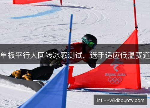 单板平行大回转冰感测试，选手适应低温赛道